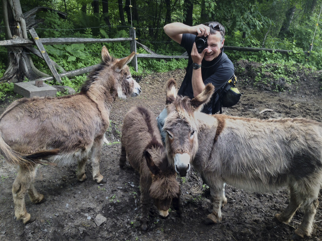 Brett Simison, photographer